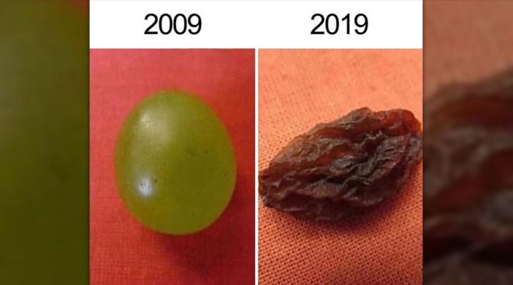 10-Year Challenge Memes